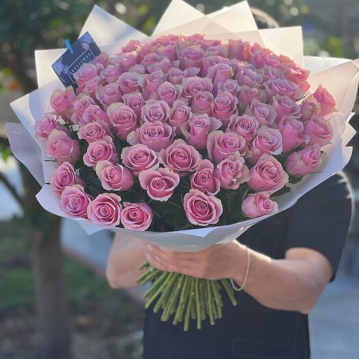 51 pink roses 1