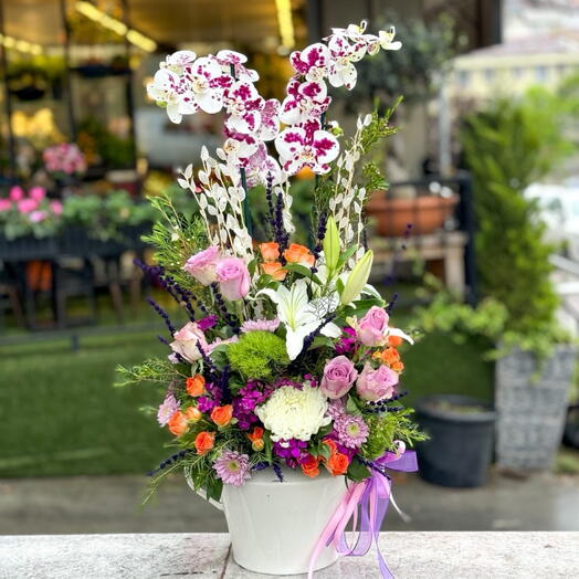 Boğaziçi Santander Orkide Aranjman