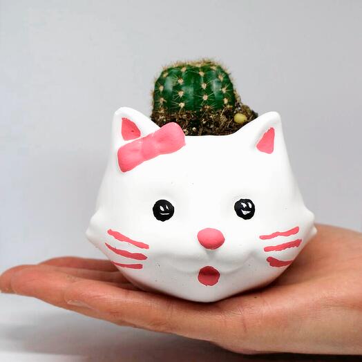 Sevimli Pembe Kedili Dekoratif Saksı + Canlı Bitki