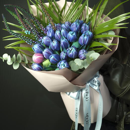 Magic Tulips