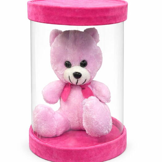Плюшевый мишка в стеклянном куполе в коробке – розовый