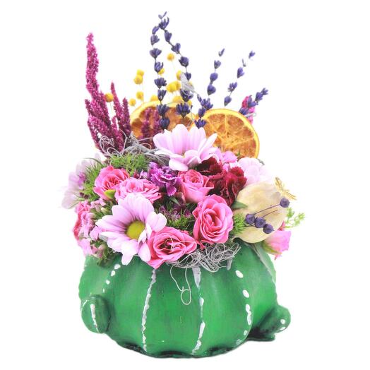 Decorative Cactus Pot Pink Rose Series