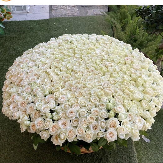 Çiçek sepeti white