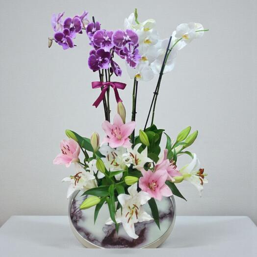Orkide lilyum aranjmanı - orchid lily arrangement