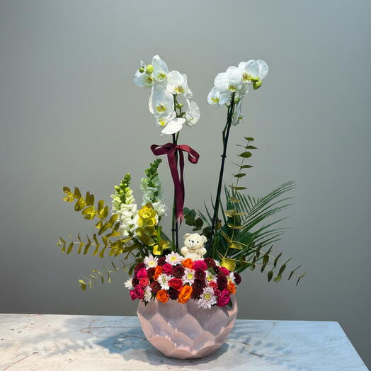 Beyaz Orkide Arajmani