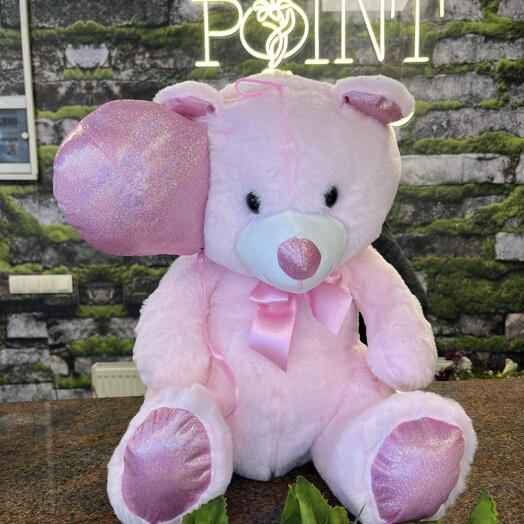 40CM Pembe Kalplı Ayıcık