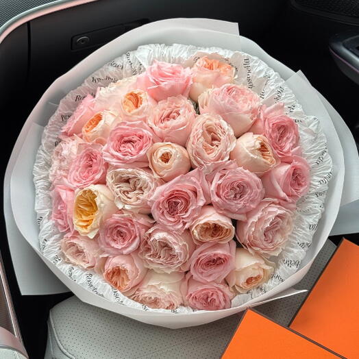 Pastel Hollanda Gulleri