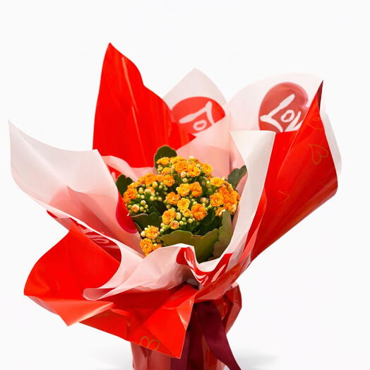 Romantik Tasarım Turuncu Kalanchoe