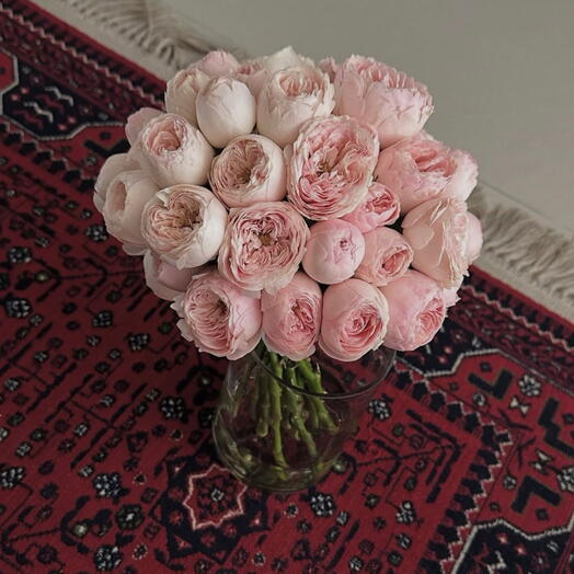 Pembe Şakayık Demeti