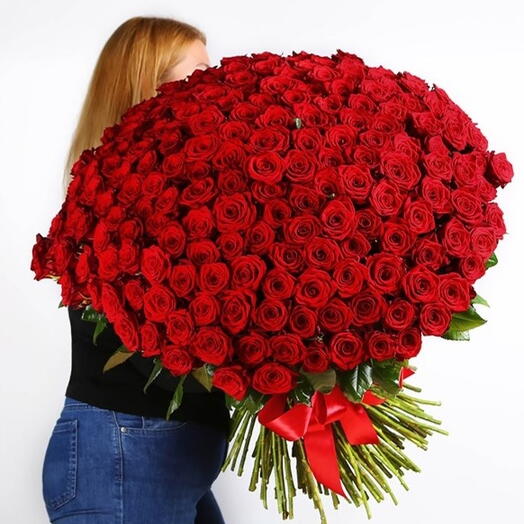 101 Red Roses