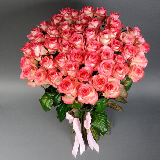 51 jumillia pembe guller