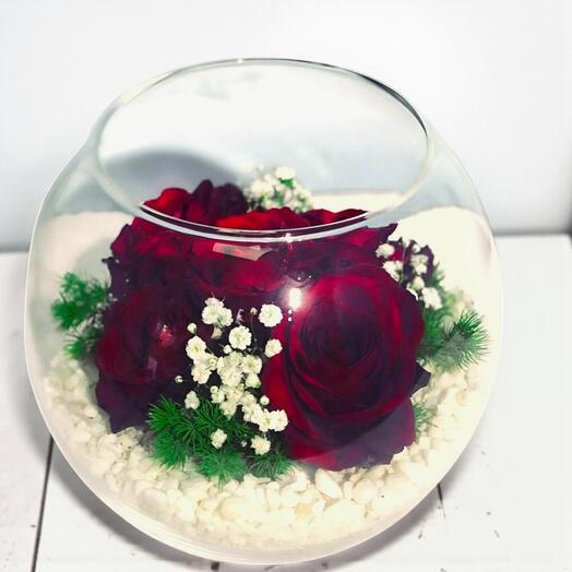 Akvaryum Fanus İçinde 5 Kırmızı Gul Aranjmanı