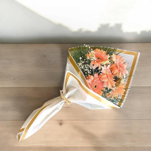 Pembe Gerbera Hill (5 li)