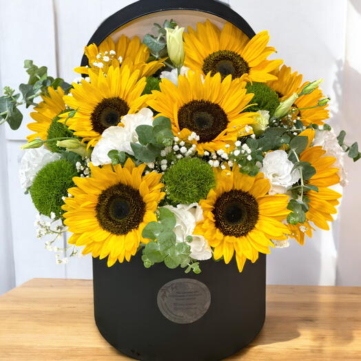 Guneşin Işıltısı