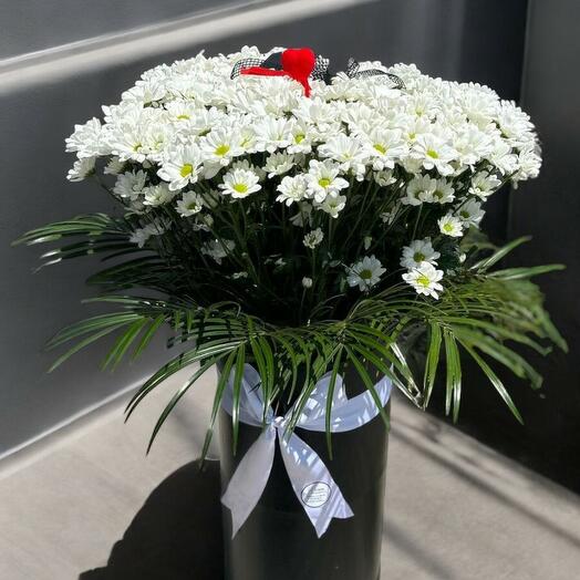 Beyaz Kasımpatı ve Fenix Yapraklı Uzun Kutu Aranjmanı