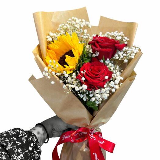 2 li Gul Ay çiçeği