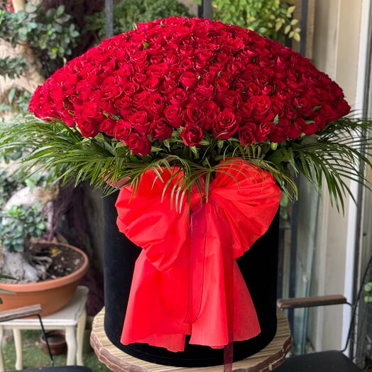 Люблю, люблю, люблю коробку из 300 красных роз