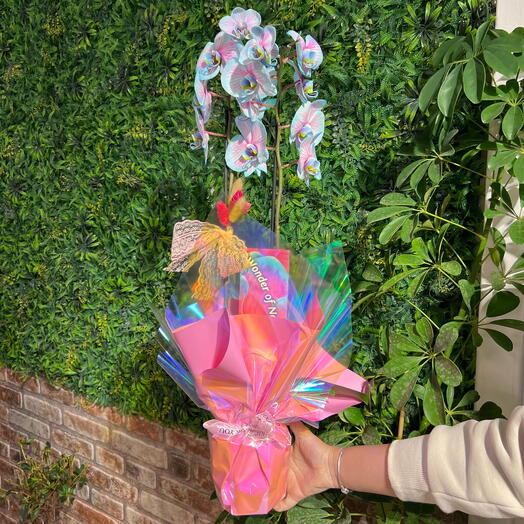 Pembe ve mavi orkide