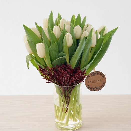 BBeyaz Lale Arajmanı