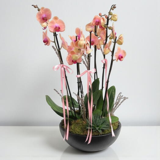 Orkide aranjmanı