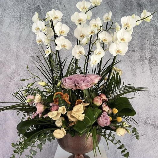 4 dallı orkide arajmanı