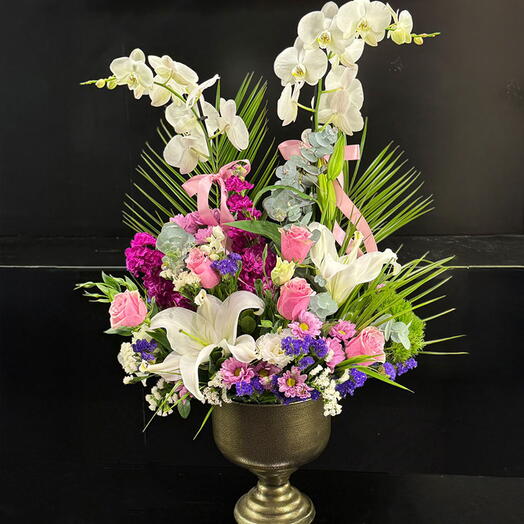 Fuşya phalaenopsis orkideleri HR825