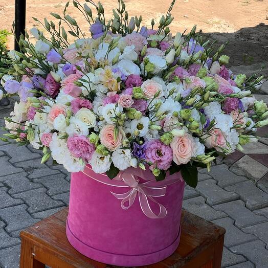 Любовь к эустоме