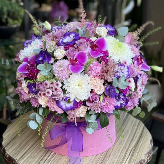 Sonsuz Zarafet Kutusu