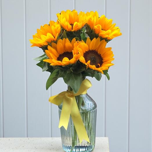 Festa Ayçiçek Aranjmanı