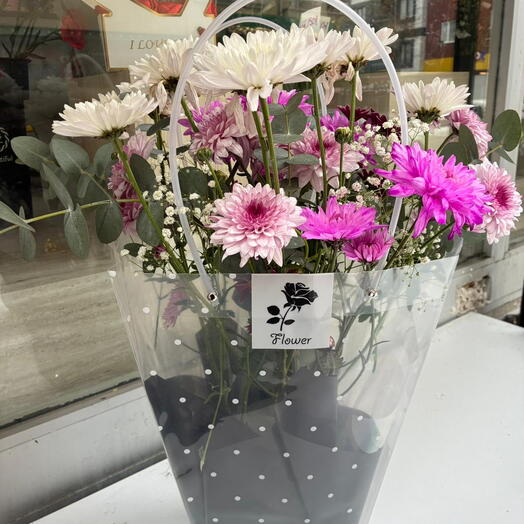 Çantalı kasımpatı