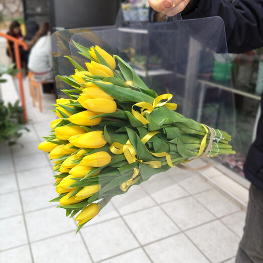Yellow tulipa