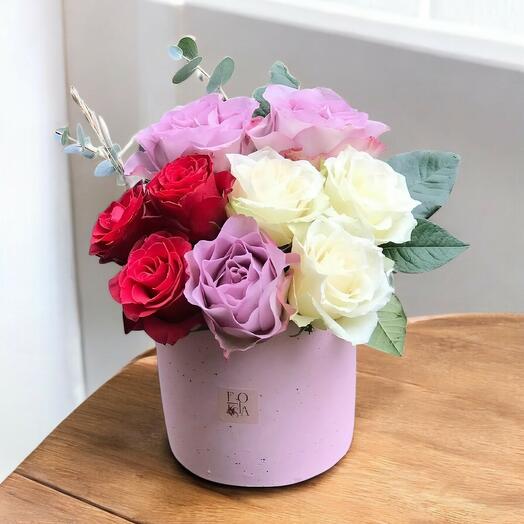 Magnificence Serisi Renkli Guller