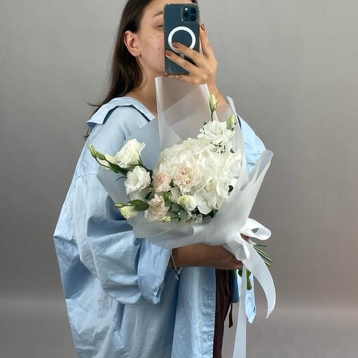 Classic combination 2