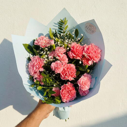 Pink carnations Belek