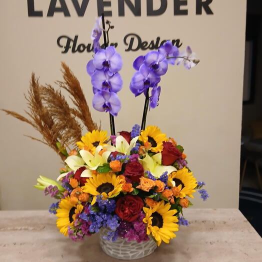 Renkli Orkide Arajmani