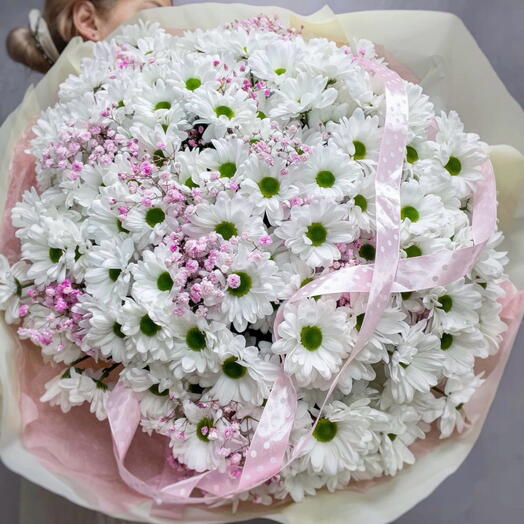 Papatya   Gypsophila