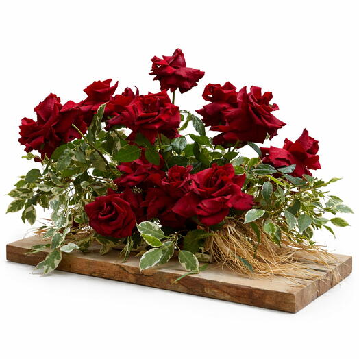 Empire of Roses