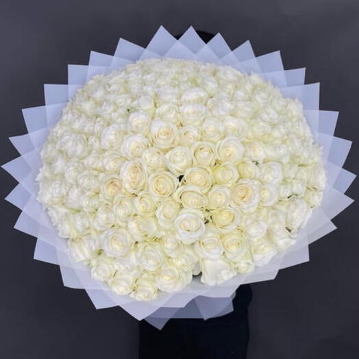 101White roses