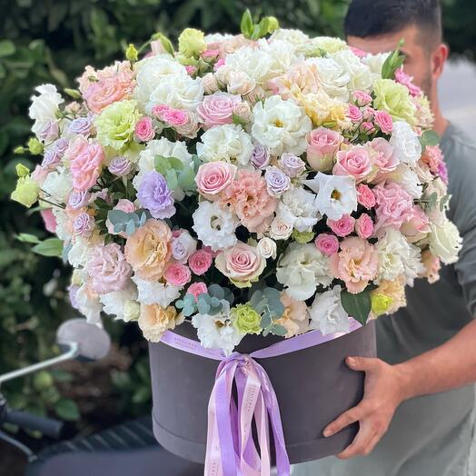 Bukalemun Vay Canına Boyutu