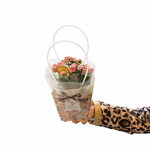 Sepet Ambalajlı Mini Pembe Kalanchoe Çiçeği