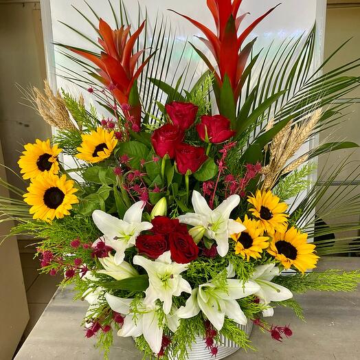 Guzmanya tasarım Arajman