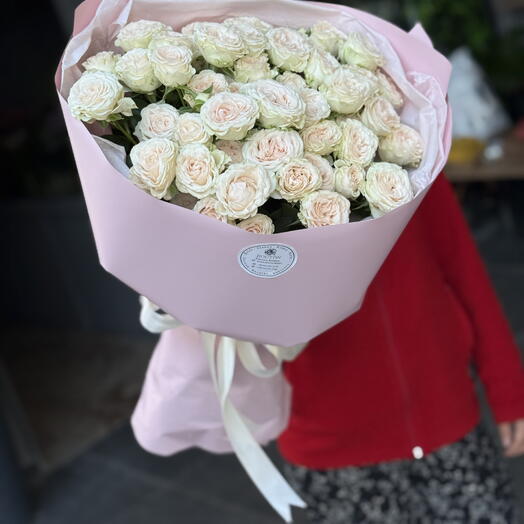 Kustova roses beggie