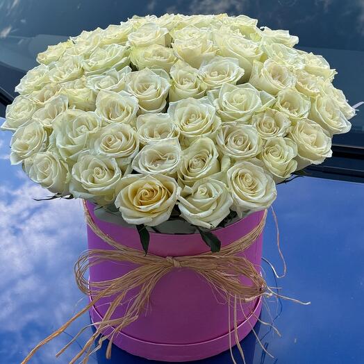 Kutulu çiçekler white rose