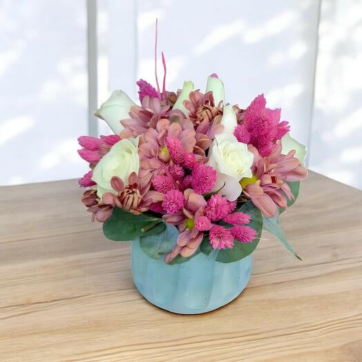 Beyaz gul turkyaz saksı