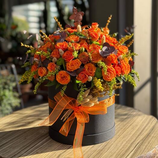 Magical Roses - Kutuda Orange Spray Roses