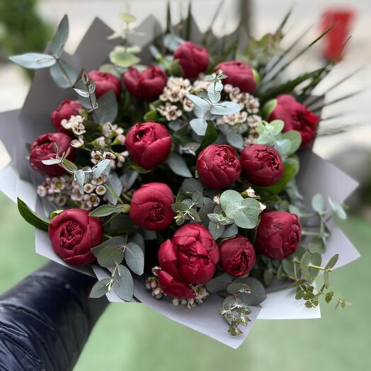 Burgundy peony