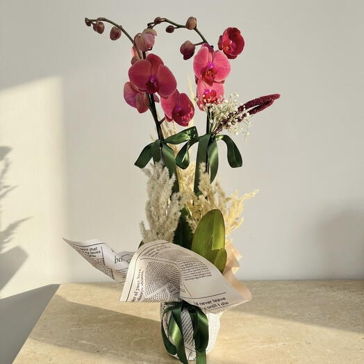 Orkide ve Pampas Çiçeği Aranjmanı