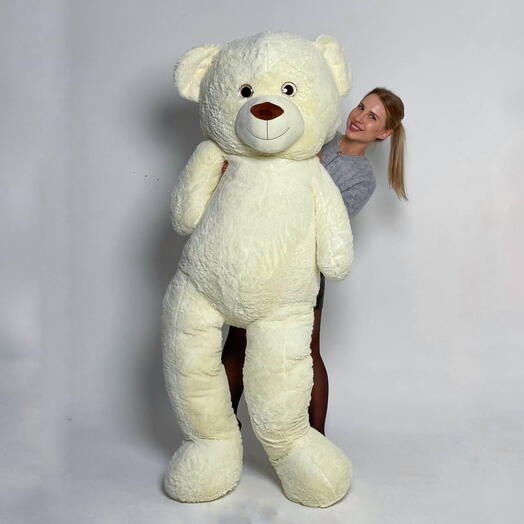 Peluş ayı 200cm