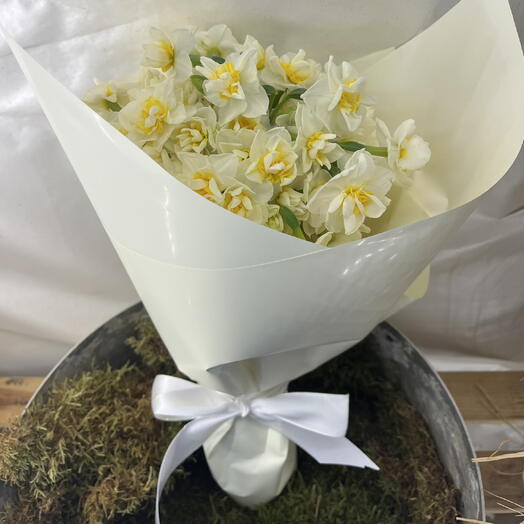 DAFFODIL - WHITE SARIM