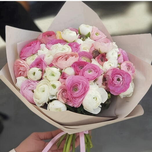 Rananculus white pink